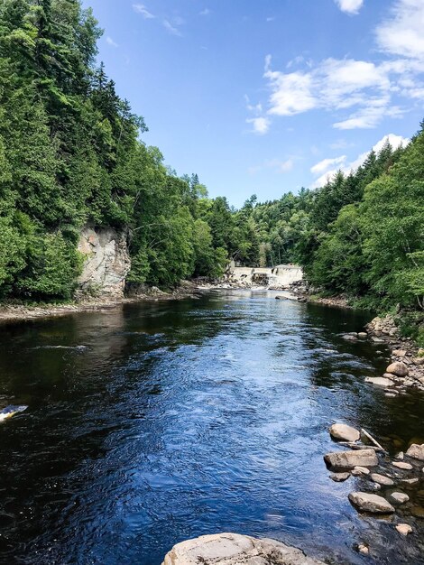 Foto fluss fließt durch felsen im wald gegen den himmel