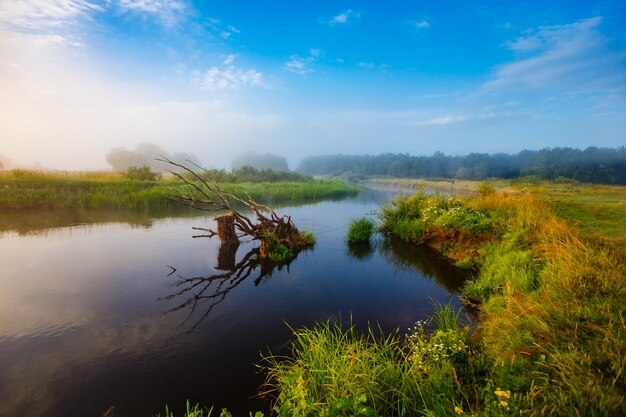 Fluss fließt in ländlicher Gegend am nebligen Morgen