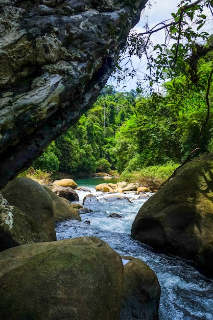 Fluss im Dschungelregenwald, Khao Sok, Thailand