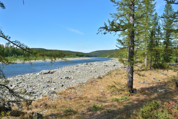 Fluss im Polarural