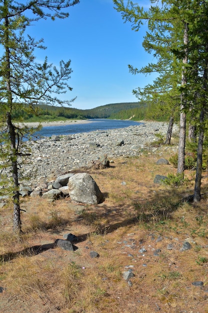 Fluss im Polarural