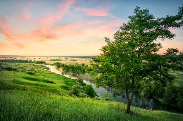 Fluss im Tal mit grünem Gras unter Morgenhimmel