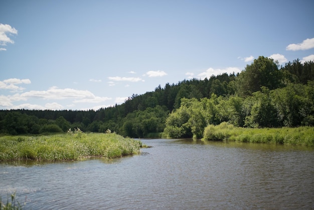 Fluss im Wald, natürlicher Hintergrund