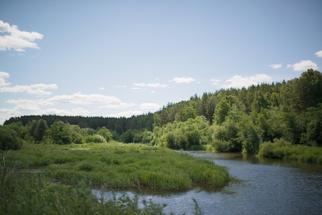 Fluss im Wald, natürlicher Hintergrund