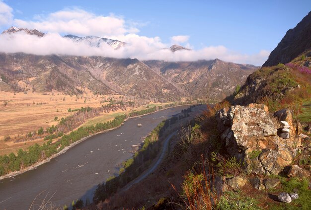 Fluss in den Bergen Blühendes Gras auf Felsen und Steinen die Ufer mit Bäumen bedeckt