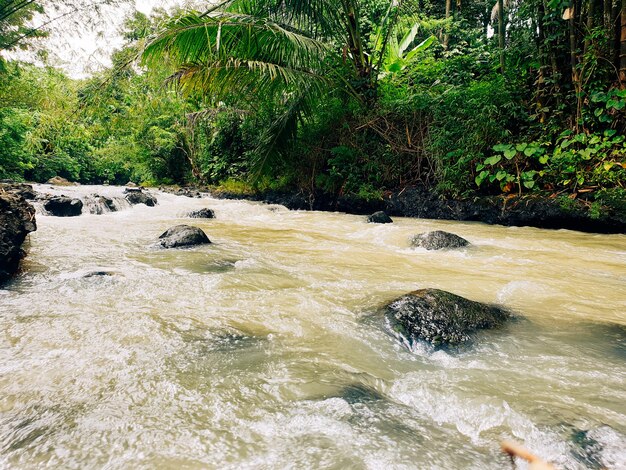 Fluss in den Bergen wunderbare Frühlingslandschaft der Landschaft