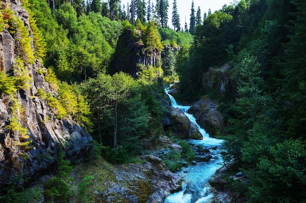 Fluss in den Bergen