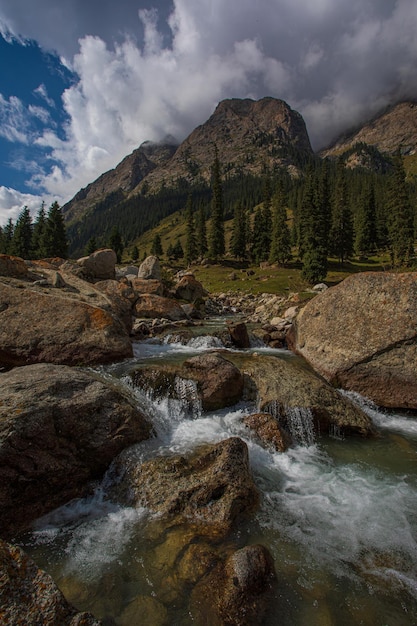 Foto fluss in den bergen