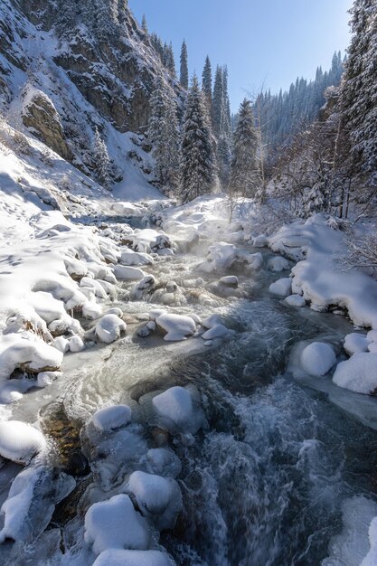 Foto fluss in den bergen