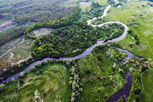 Fluss in den Wiesen