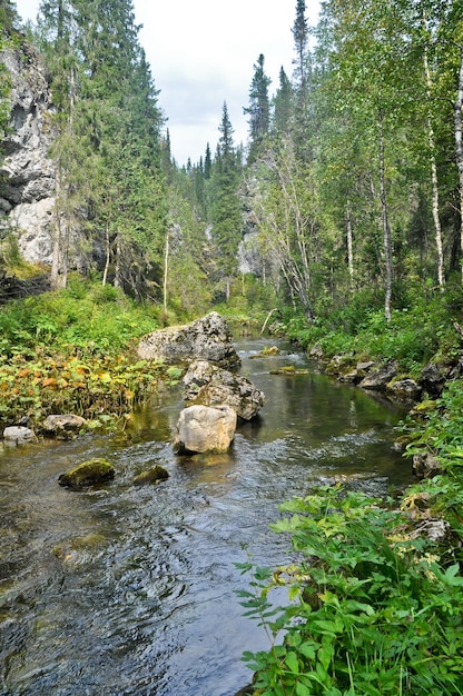 Fluss in einer felsigen Schlucht