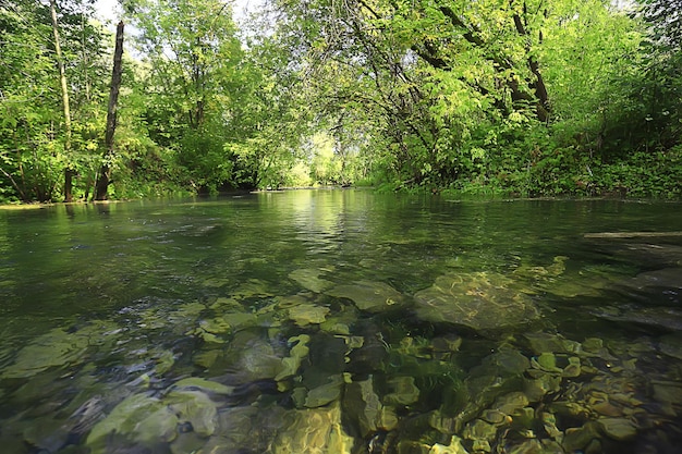 Fluss in herbstlicher Waldlandschaft, abstrakte Ansicht, Bäume am Ufer eines kleinen Flusses