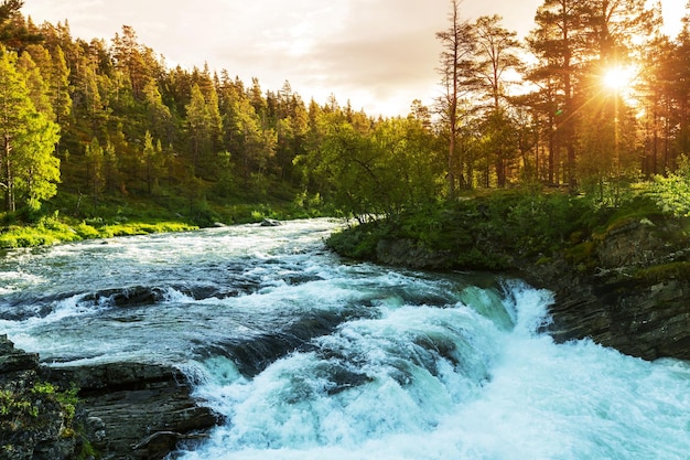 Fluss in Norwegen