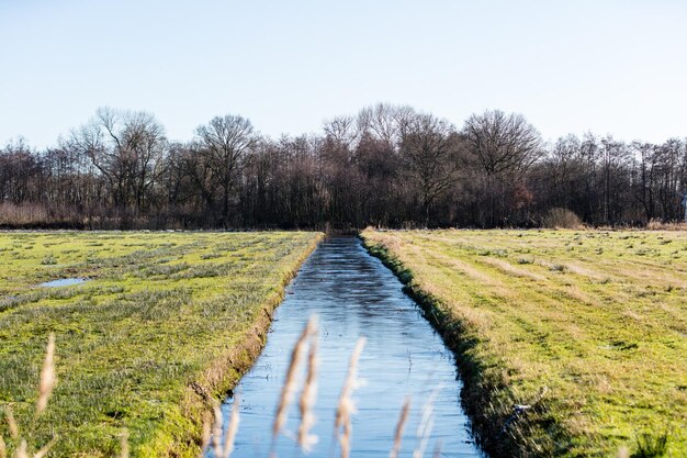 Foto fluss inmitten des feldes vor klarem himmel