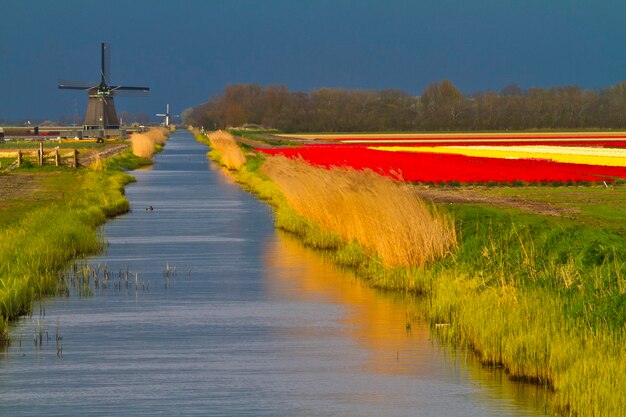 Fluss inmitten eines Bauernhofs mit traditioneller Windmühle