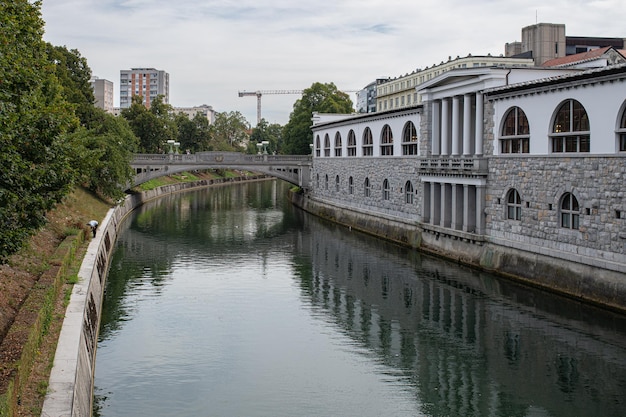 Fluss Ljubljanica in Ljubljana Slowenien