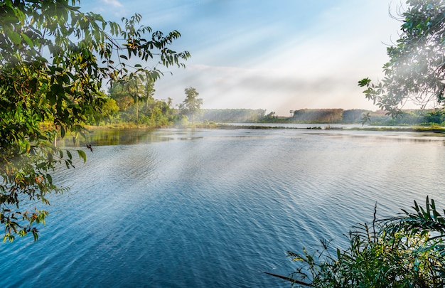 Fluss mit Baumblatt und Sonnenstrahl