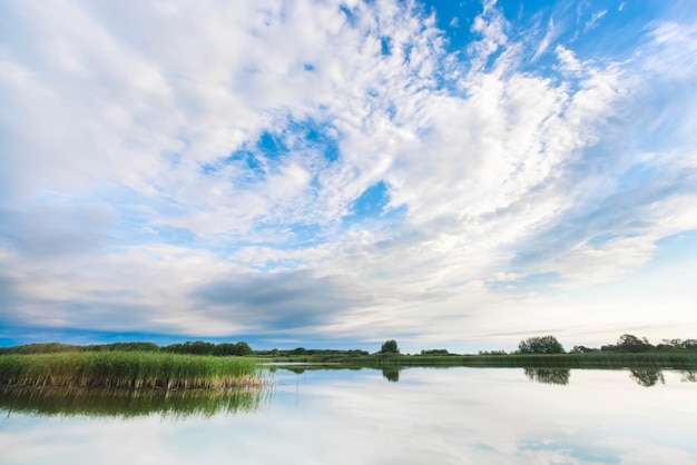 Fluss mit Grasdickicht