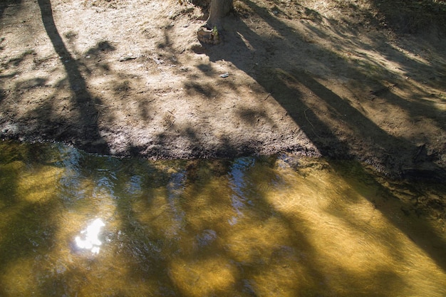 Foto fluss mittelmeer, flussufer alberche in toledo, kastilien-la mancha, spanien