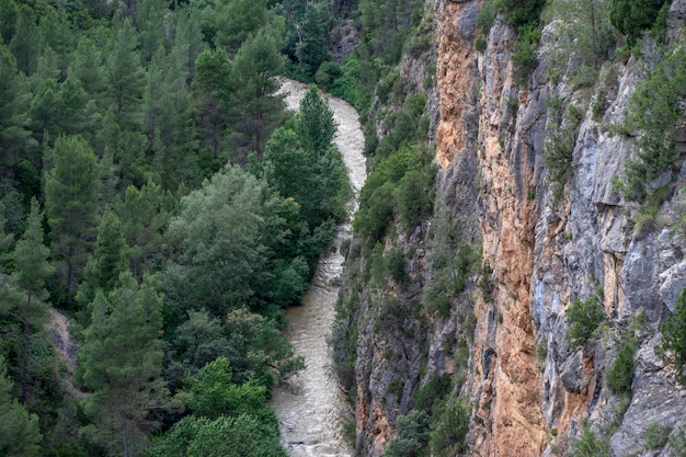 Fluss mitten im Wald