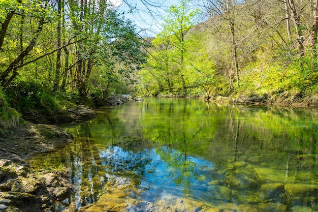 Fluss Sella zwischen Tornin, Olla de San Vicente in der Nähe von Cangas de Onis Asturien Spanien