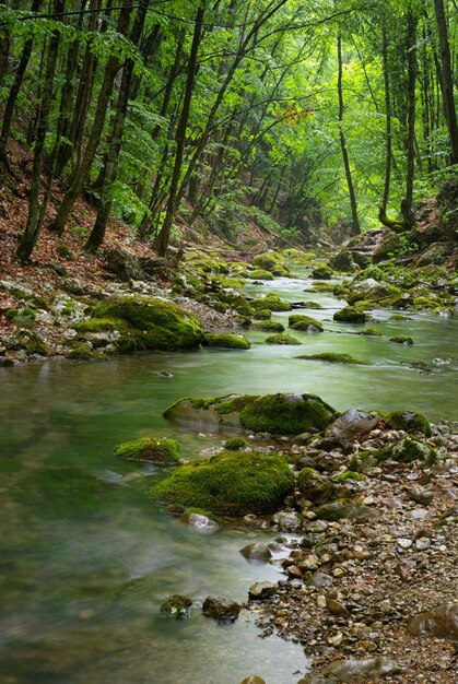 Fluss tief im bergwald