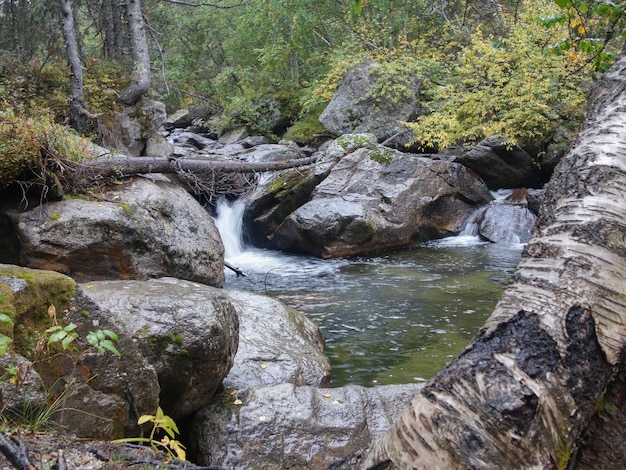 Fluss, umgeben von Steinen im Wald