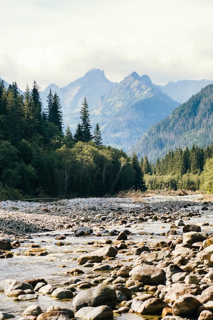 Fluss und Berge, Seeauge, Polen, Zakopane