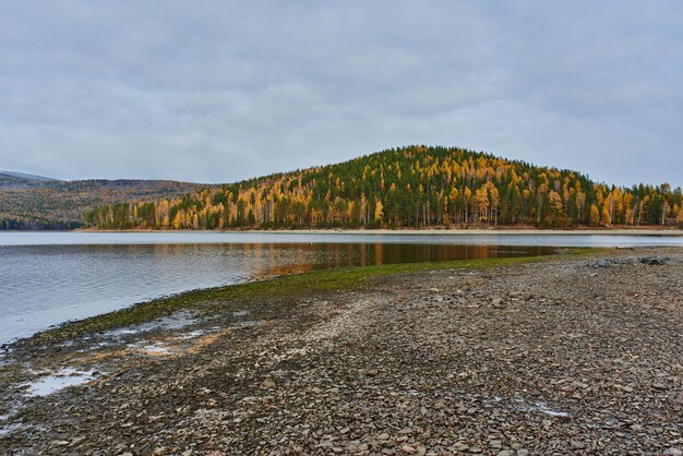 Fluss und steiniger Strand auf einem Hintergrund von Bergen, die mit Bäumen bedeckt sind