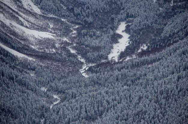 Fluss und Wald im verschneiten Tal zwischen den Bergen des Kaukasus