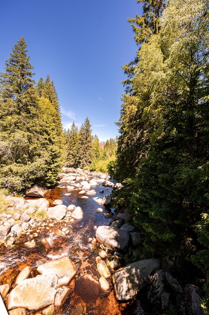 Fluss Vydra im Böhmerwald Modrava ist ein Dorf im Nationalpark Böhmerwald