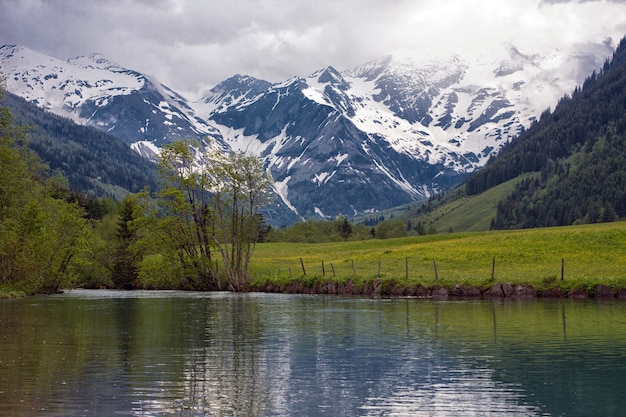 Fluss, Wiese mit gelben Blumen und Bergen im Hintergrund