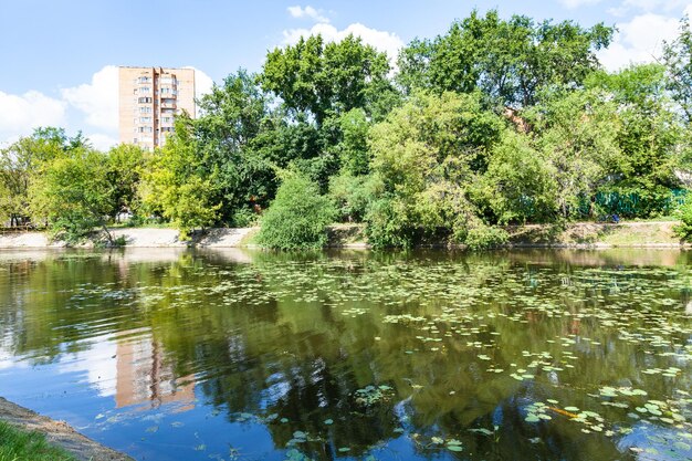 Fluss Zhabenka in der Nähe von Teich in Moskau im Sommer