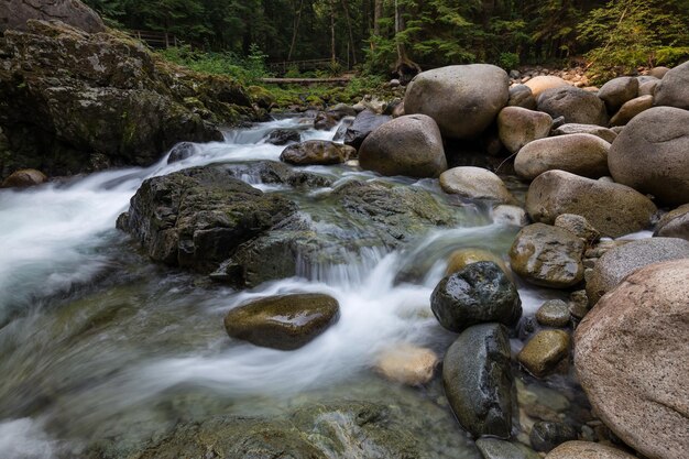 Flussbach in der natürlichen Schlucht während der Sommerzeit Kanadischer Naturhintergrund