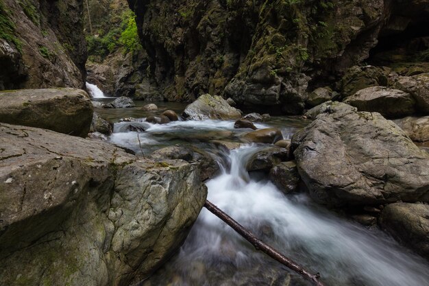 Flussbach in der natürlichen Schlucht während der Sommerzeit Kanadischer Naturhintergrund