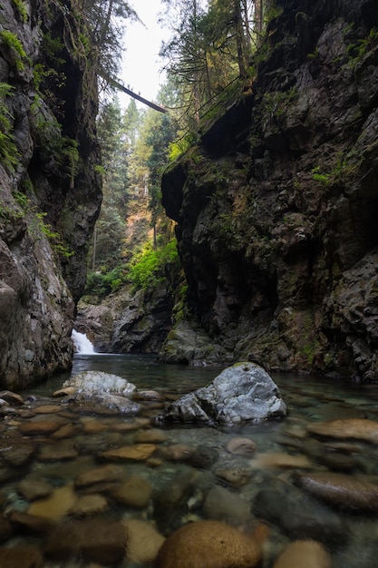 Flussbach in der natürlichen Schlucht während der Sommerzeit Kanadischer Naturhintergrund