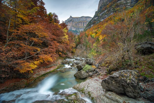 Flussbett mit Berglandschaft