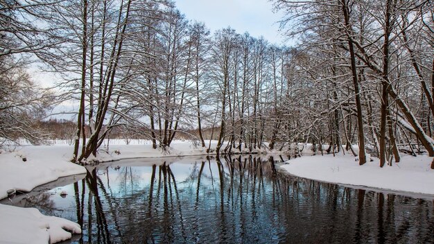 Flussbiegung im Winter Schneebedeckte Ufer und Bäume ohne Blätter Ruhe Klarer Wintertag