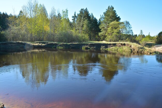 Flussfrühlingslandschaft im Nationalpark Ryazan Meschera