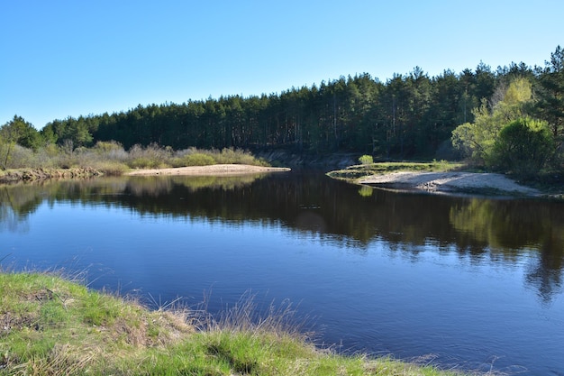 Flussfrühlingslandschaft