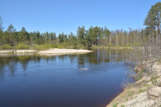 Flussfrühlingslandschaft