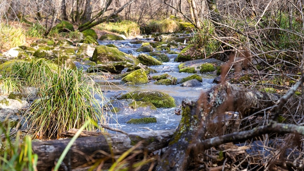 Flusskaskade im Frühherbst im russischen Wald