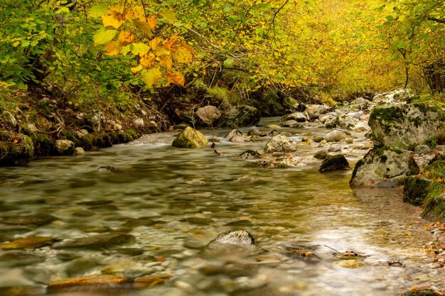 Flusslandschaft des Rio Duje in Asturien