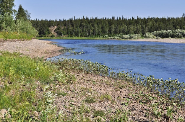 Flusslandschaft im Norden