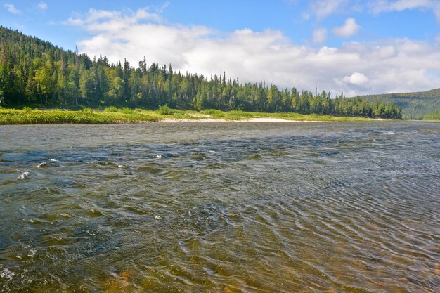 Flusslandschaft im Sommer