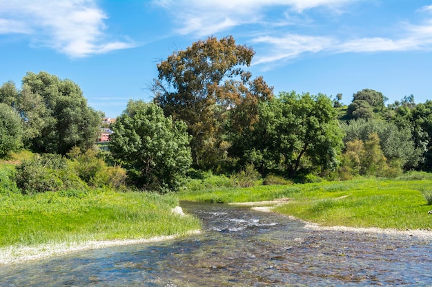 Flusslandschaft mit Bäumen