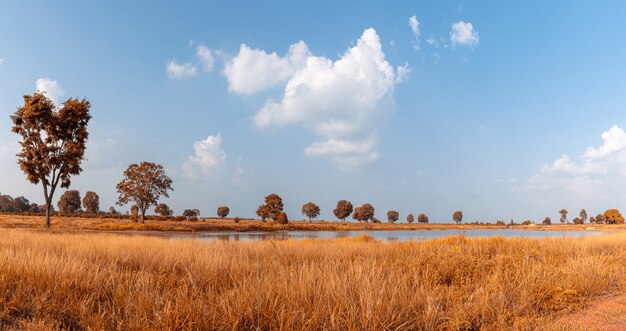 Flusslandschaft mit schönen Wolken