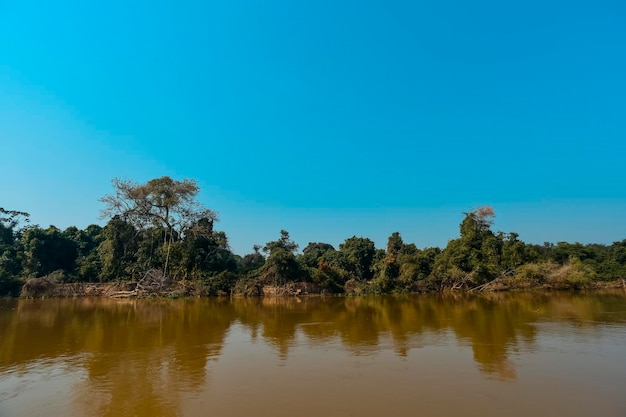 Flusslandschaft und DschungelPantanal Brasilien