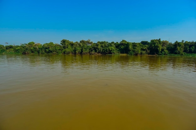 Flusslandschaft und DschungelPantanal Brasilien