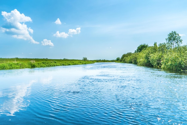 Flusslandschaft und grüner Wald mit blauen Wasserwolken der Bäume am Himmel